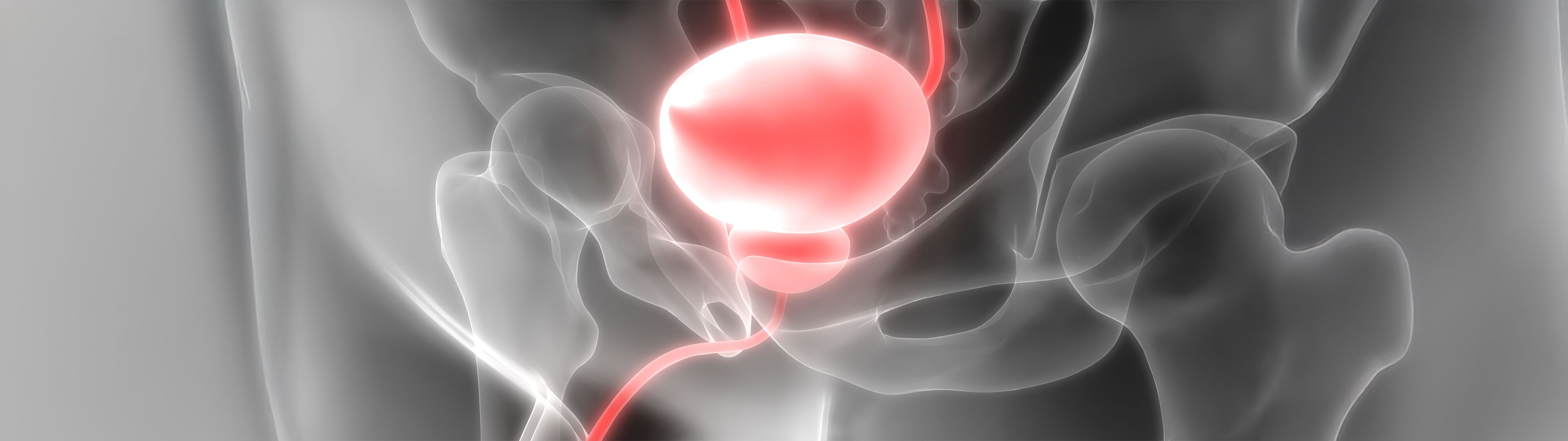 Blasenkrebs DTZ Therapie GbR