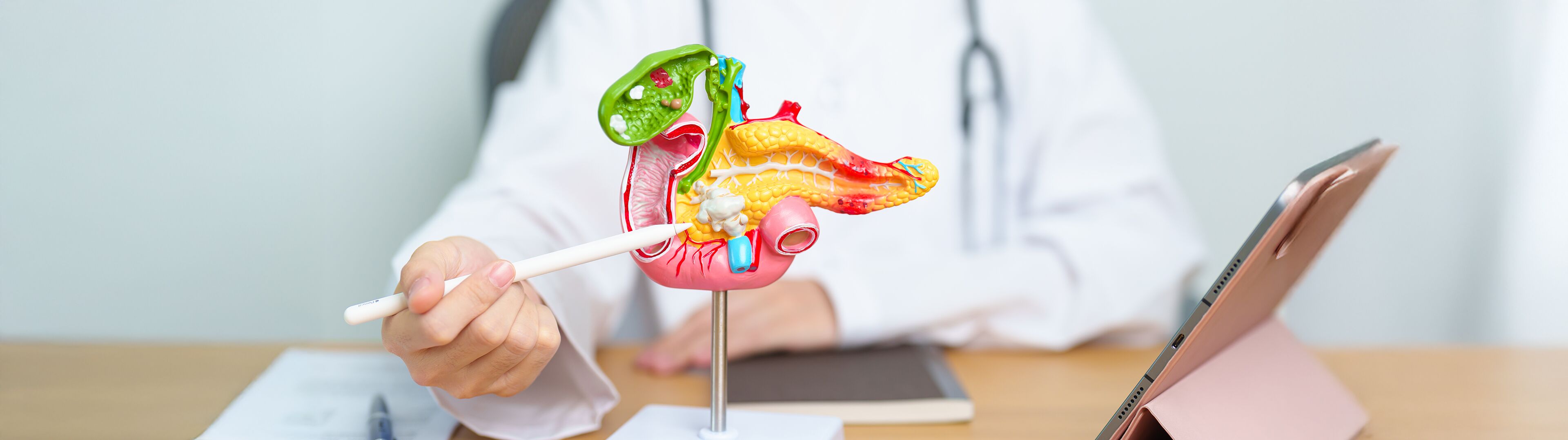 Pankreaskrebs DTZ Therapie GbR